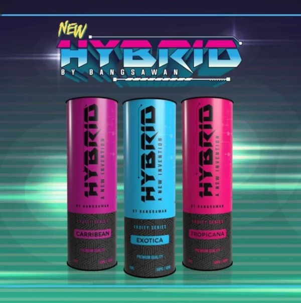 [HYBRID] Bangsawan HYBRID all line up - Image 7