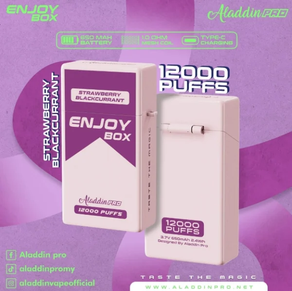 [Disposable] ENJOY BOX 12000 Puffs - Image 3