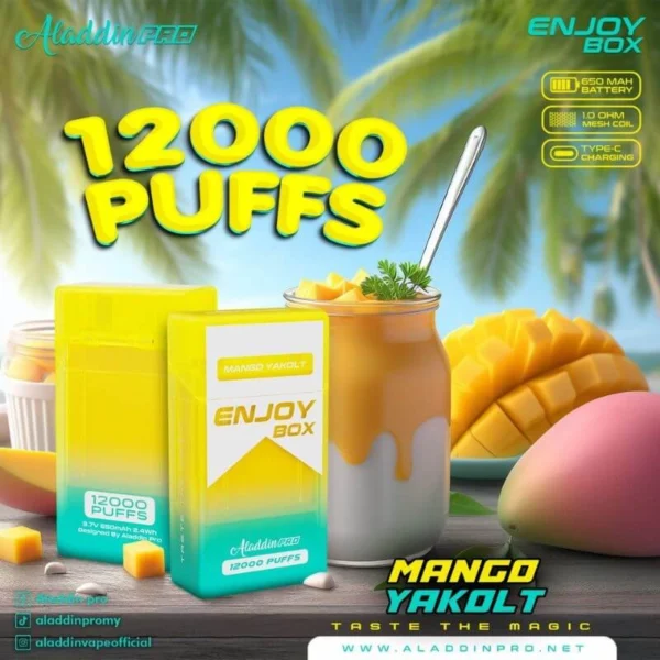 [Disposable] ENJOY BOX 12000 Puffs - Image 2